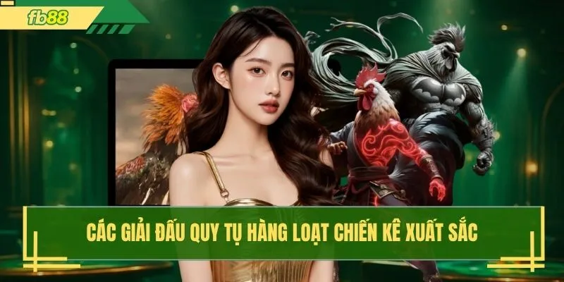 Các giải đấu quy tụ hàng loạt chiến kê xuất sắc