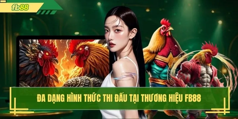 Đa dạng hình thức thi đấu tại thương hiệu FB88