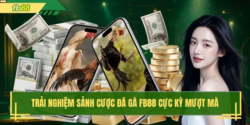 Trải nghiệm sảnh cược đá gà FB88 cực kỳ mượt mà